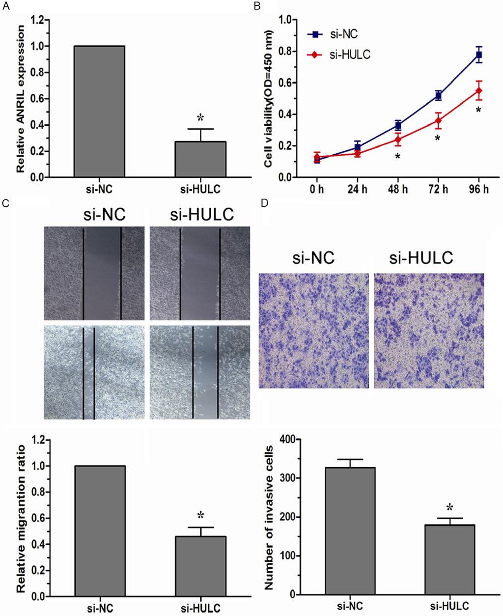 Figure 3. Down-regulated HULC inhibited cell proliferation, migration, and invasion of osteosarcoma cells. A. HULC expression levels were evaluated using qrt-pcr in si-hulc transfected U2OS cells. B.