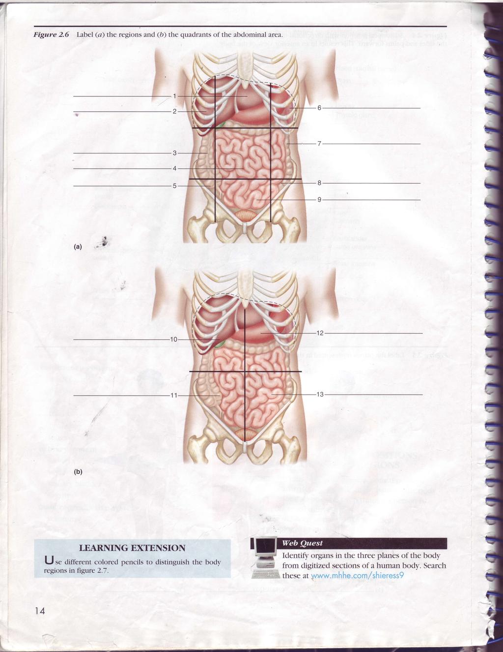 7T Figure 2.6 Label (a the regions ^"" the quadrants of the abdominal area. :, @ Fi t; 3 4 5,* (a a't? w g (b LEARN-NG EXTENSON u r.