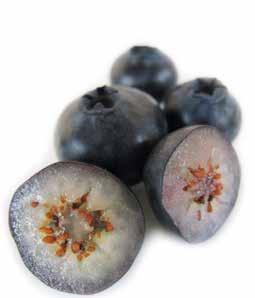 600 500 400 300 200 100 0 Anthocyanin content mg / 100 g fresh weight Wild Billberrry Acai berry Blueberry Orange Why anthocyanins?