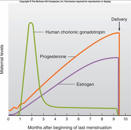 Metabolites of chorionic gonadotropin in the urine are an early indicator that pregnancy is underway.