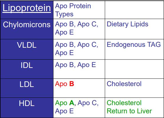VLDL (pre BETA-lipoprotein) a little faster than BETA-lipoprotein (remember pre albumin in the plasma) This way doesn t depend on density (VLDL is below