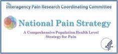 IOM: Pain Report