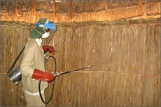 10 Facts about Malaria (WHO) Fact 8: Indoor residual spraying is the most effective means of rapidly reducing mosquito density.
