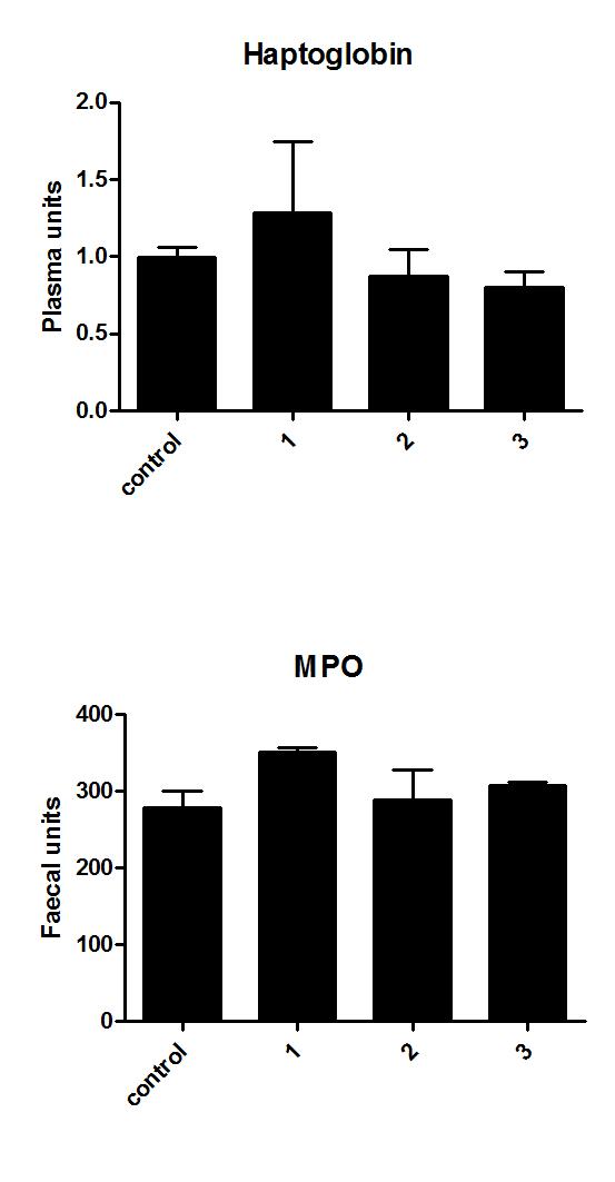 MPO Faeces pigs (3 additives) Haptoglobin (Hp) measure in plasma is reciprocal to growth (standard) MPO in faeces correlates with Hp MPO can be