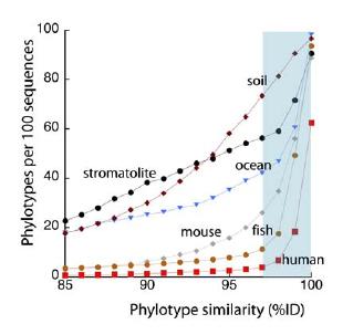 Fewer phyla are represented in the human