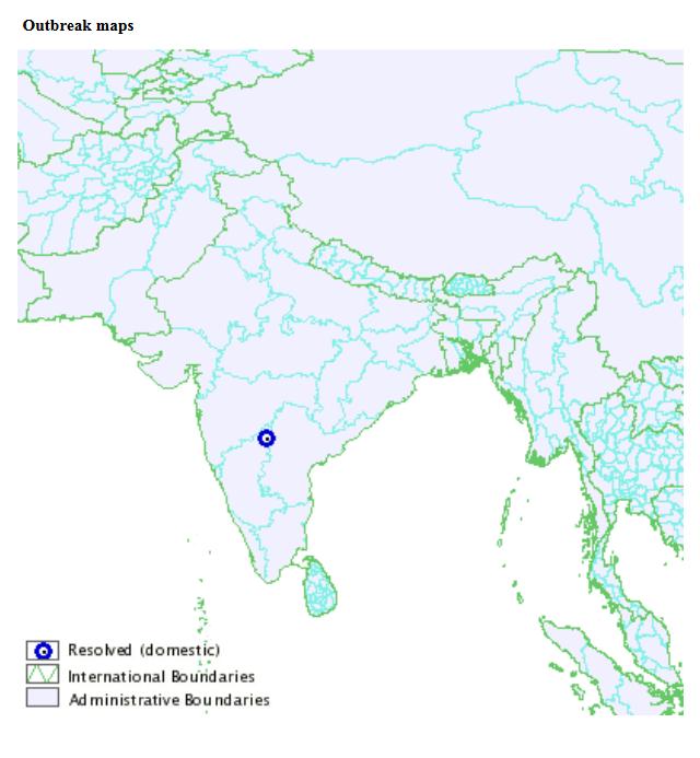 India H5N1