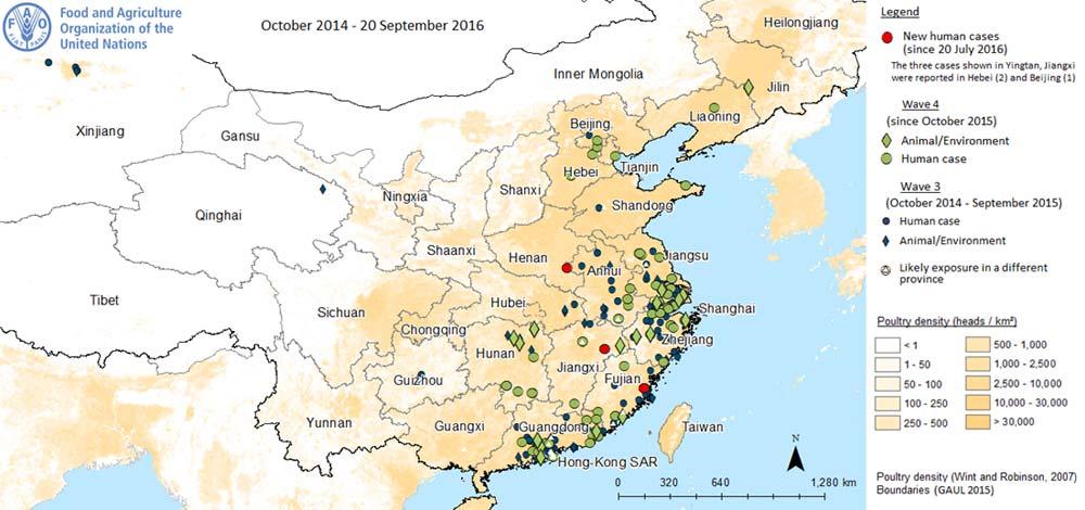 H7N9 China