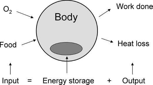 Conservation of Energy Conservation of Energy Change in stored energy in