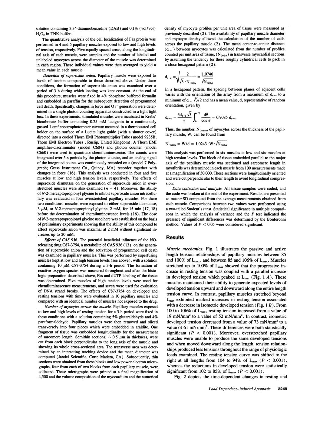 solution contining 3,3'diminobenzidine (DAB) nd.1% (vol/vol) H22 in TNK buffer.