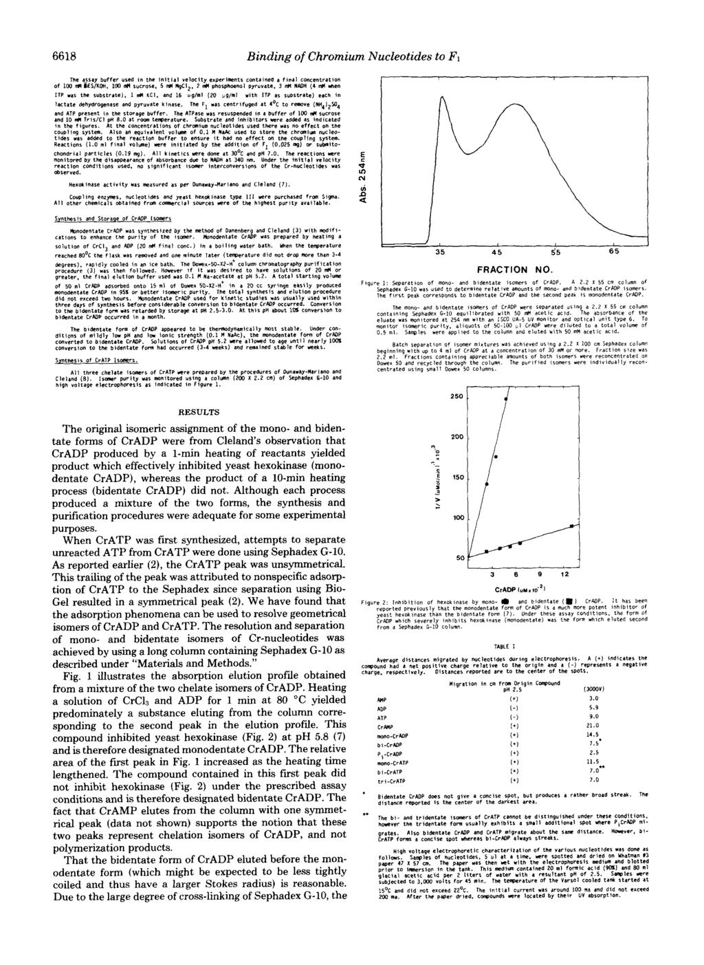 6618 Binding of Chromium Nucleotides to f The esay buffer used in the initial Velocity experiments contalnea a flnal COncentratlOn Of 100 rdl ~LSIKOH. 1W M sucrese. 5 rdl P!.$l2.
