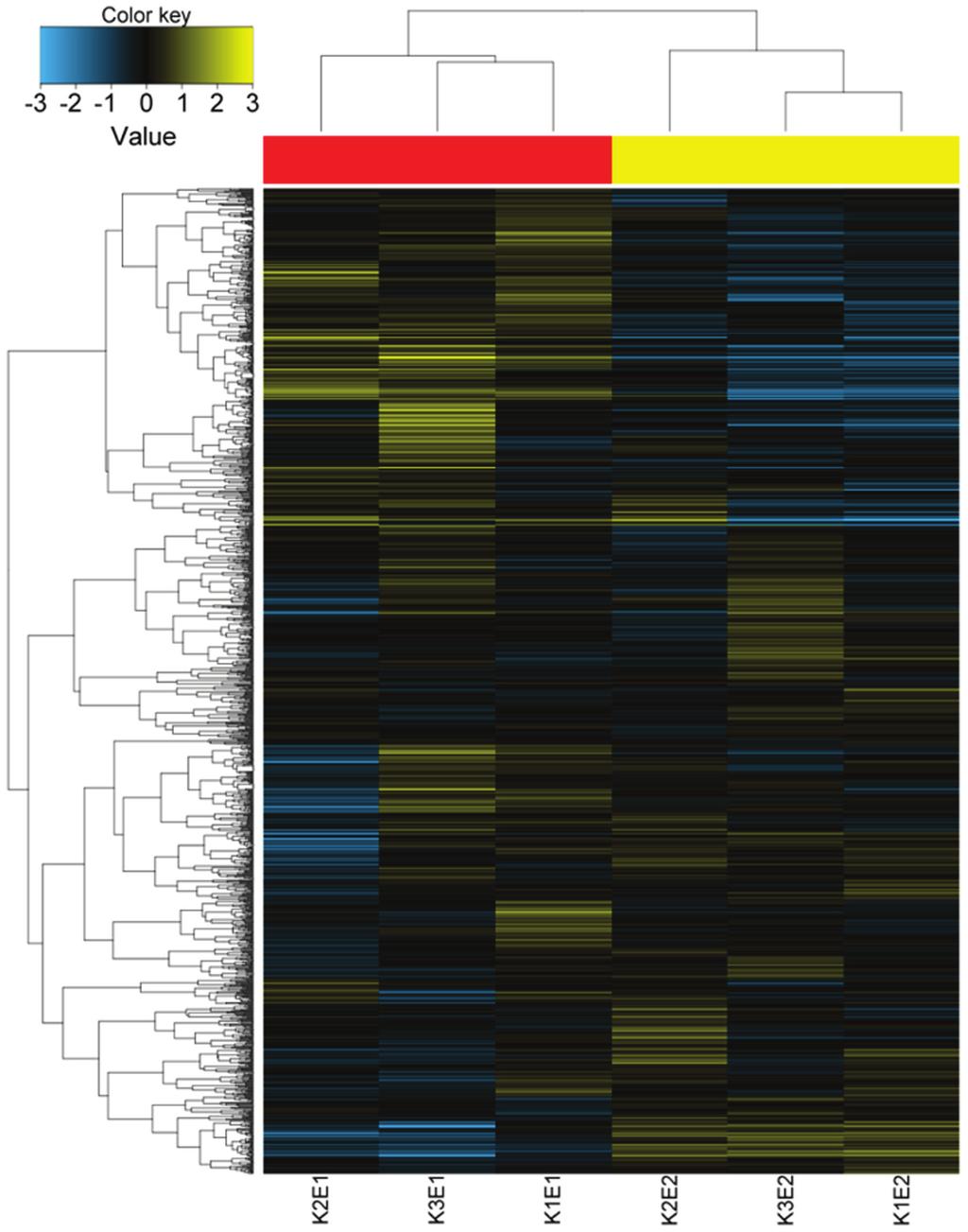 ONCOLOGY LETTERS 3 Figure 1. Heat map of differentially expressed micrornas in Kazakh esophagus squamous cell carcinoma tissues. Yellow represents upregulation and blue represents downregulation.