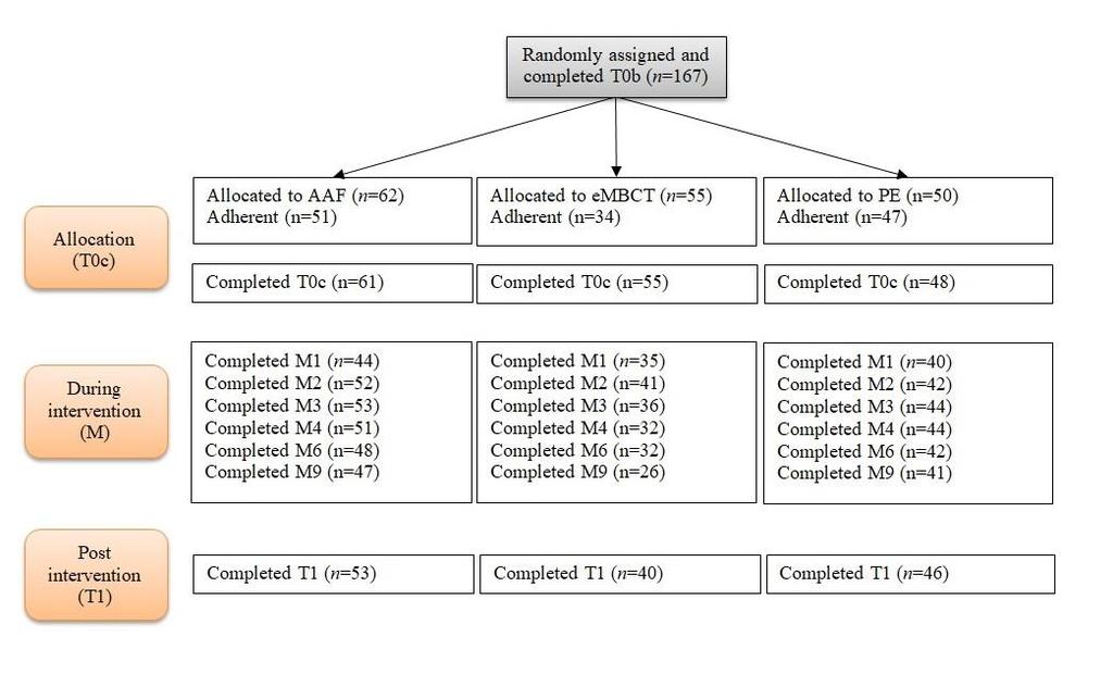 Chapter 6 Understanding change in embct Figure 1. Flowchart of the quantity of participants who filled in the assessments. See Bruggeman-Everts et al.
