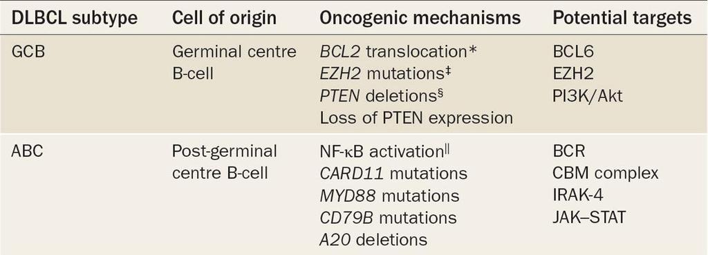 Oncogenic mechanisms and potential therapeutic targets in GCB