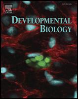 Developmental Biology 318 (2008) 224 235 Contents lists available at ScienceDirect Developmental Biology journal homepage: www.elsevier.