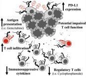 T-cell infiltration High immunosuppressive cytokines Antigen presentation PD-L1 expression