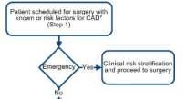 Figure 1. Stepwise Approach to Perioperative Cardiac Assessment for CAD 2014: Now, with color!!! Fliesheret al.