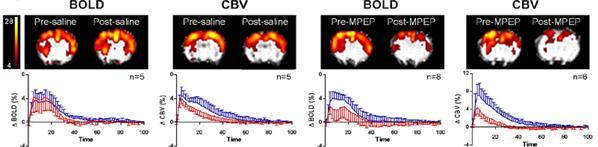 Modulation of BOLD response from direct cortical stimulation by selective astrocyte metabotropic GluR5