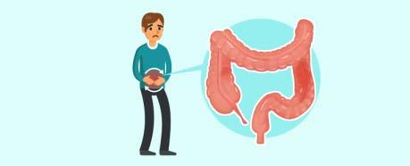 Leaky Gut or increased intestinal permeability syndrome Home > Molecular health and nutrition > Leaky Gut or increased intestinal permeability.