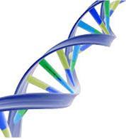 Cancers can be caused by changes in the DNA inside our cells called DNA mutations These mutations leads to uncontrolled cell growth and the development of cancerous tumors Inherited gene