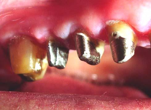 Figure 4. Conditional disadvantage of dental photograph is a possibility of self-checking Figure 3.