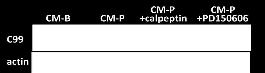 Calpeptin (20µM) or PD150606 (100µM), specific inhibitors of calpain, was used to pre- and co-treated the neurons with CM-P