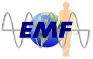Structure International EMF Project Secretariat International Advisory
