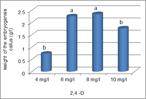 Figure 2. Effects of hormone 2,4 -D on embryogenesis callus weight Figure 3.