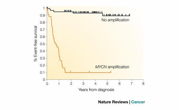 Survival After Diagnosis of High Risk