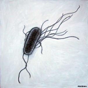 E. coli E.