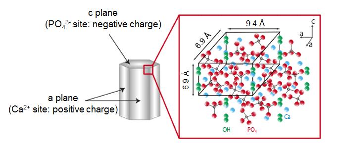 Figure 2.3 shows the relationship between the classical rhomboidal crystallographic unit (red) and hexagonal unit cell.