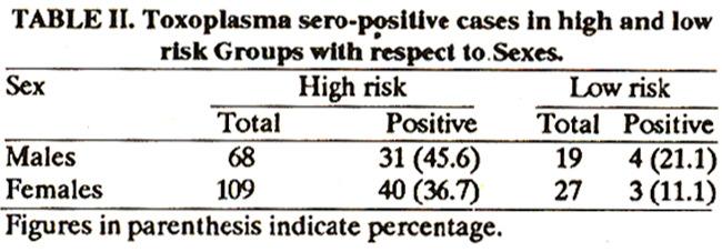 Males were more often sero-positive than females in all the groups (Table II).
