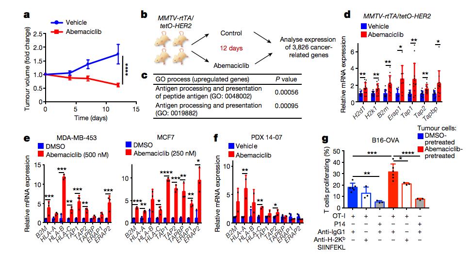 CDK 4/6 inhibition triggers anti-tumour immunity Collectively, these results establish that CDK4/6 inhibitors induce breast cancer cell cytostasis