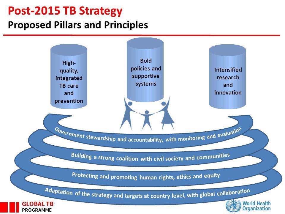 End TB Strategy Pillars, principles and