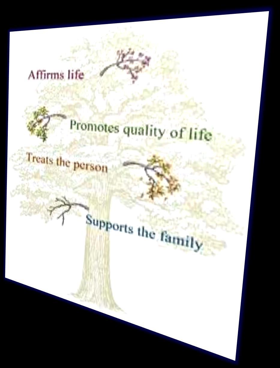 Definition of Palliative Care An approach that improves the quality of life of patients