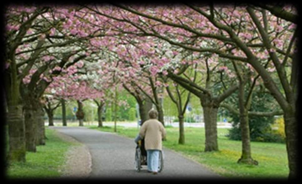 Background Palliative care traditionally defined by hospice (a place of rest for travelers and