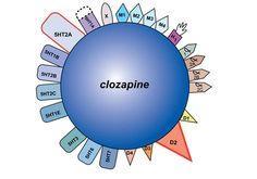 Managing treatment resistance: Clozapine Rule out covert non-adherence, undertreatment and medical illness.