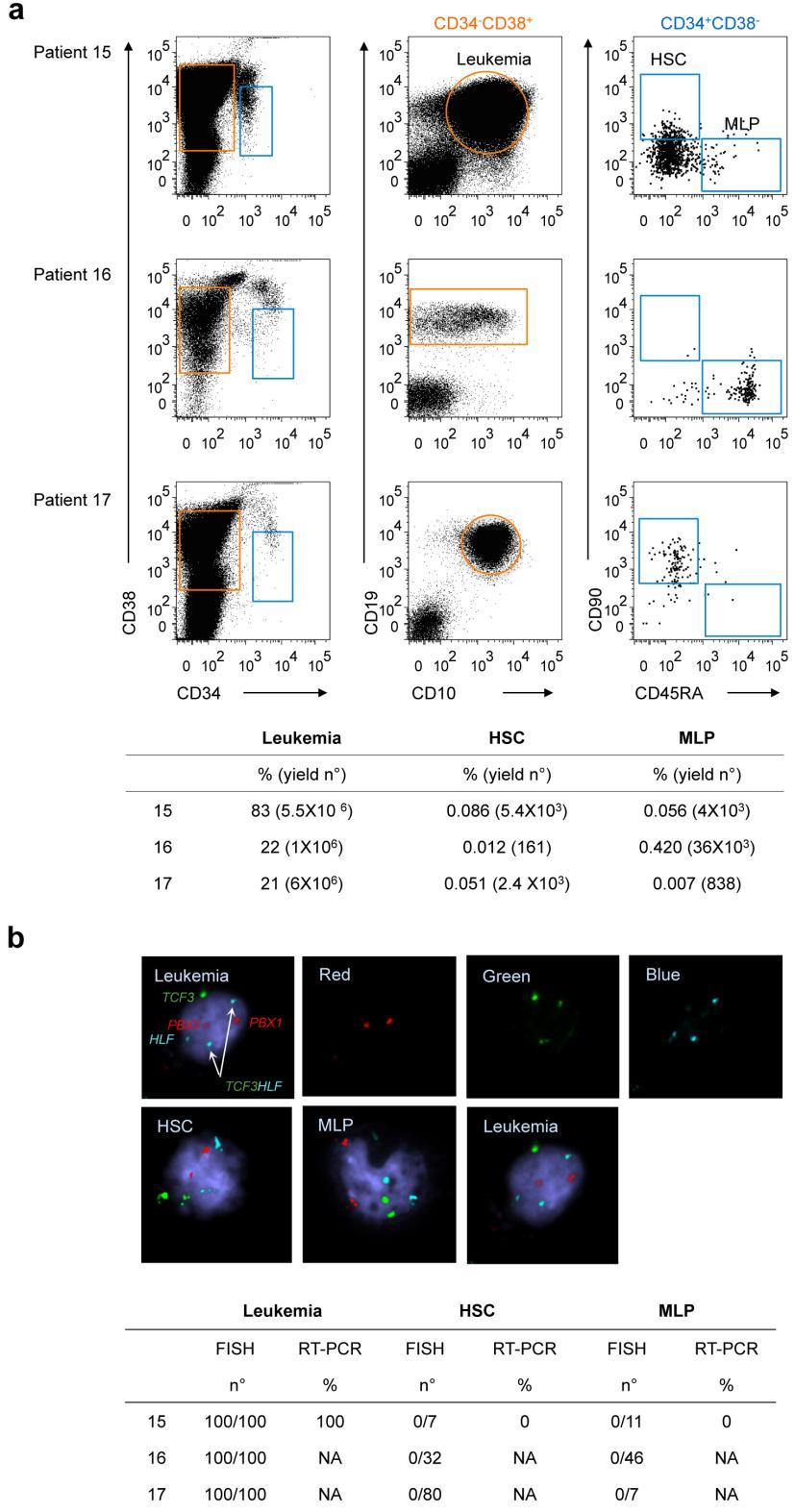 Supplementary Figure 2 The TCF3-HLF translocation is only detected in the lymphoid progenitor gate.