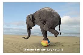 What are some things that you can do to maintain balance?