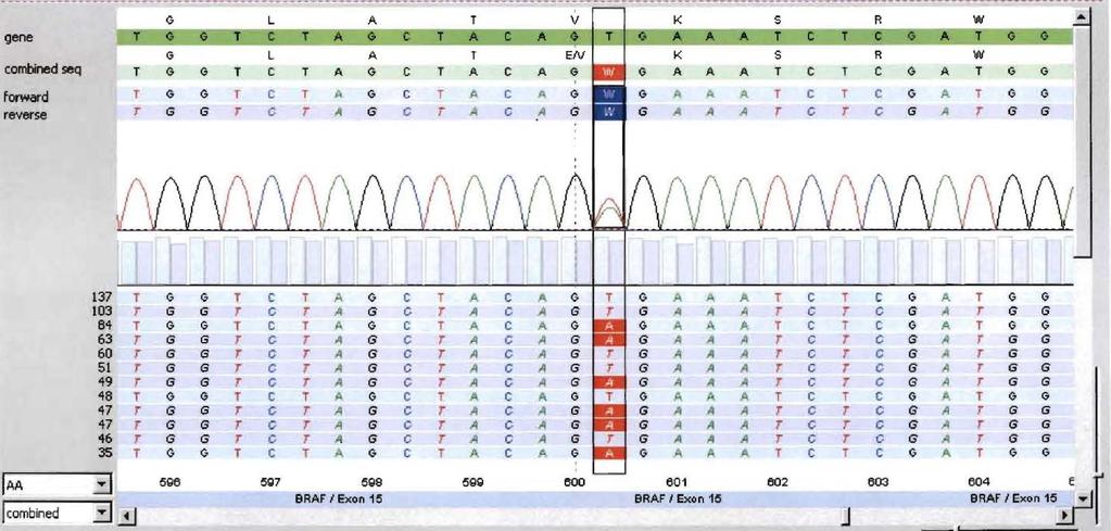 77 mutations within exons 11 and 15 Genomic