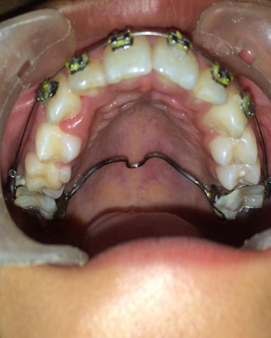 Dentistry Vol.