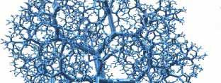 THE FRACTAL NATURE OF VASCULAR TREES Arterial