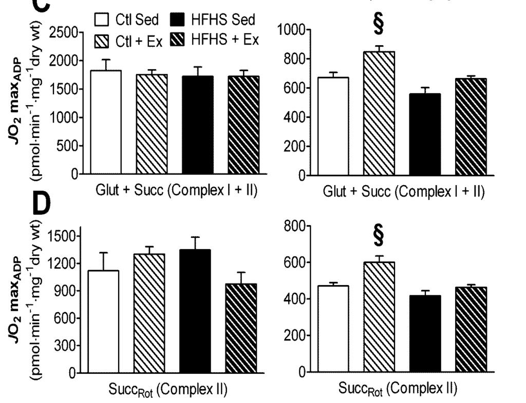 Mitochondrial 2 capacity in Heart and SkM following HFHS diet and/ or Ex ATP + Glucose Hexokinase
