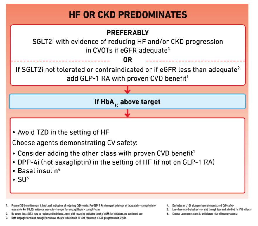 Among patients with ASCVD in whom HF coexists or is of concern, SGLT2 inhibitor are recommended Summary Rationale: Patients with T2D are at increased risk for heart failure with reduced or preserved