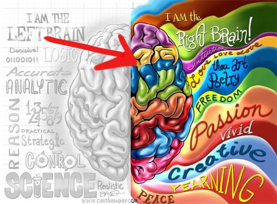 Cerebral Dominance Each hemisphere of the brain