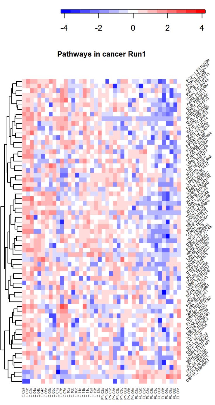 c Figure S2. Gene expression profiles of up- and downregulated pathways in psoriatic lesions.