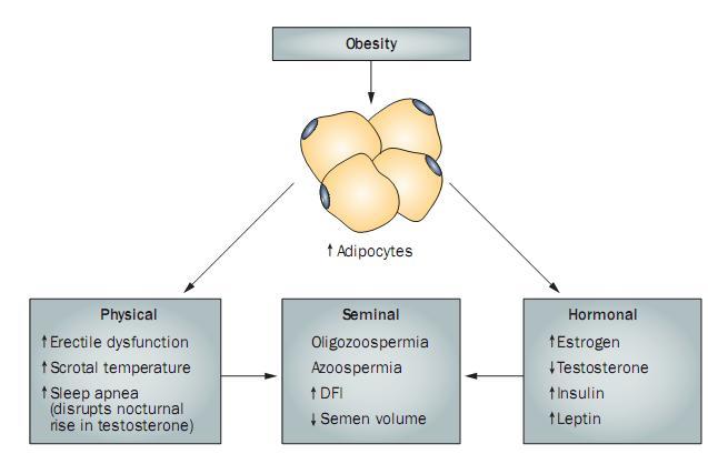 Polygenic obesity Heredity of