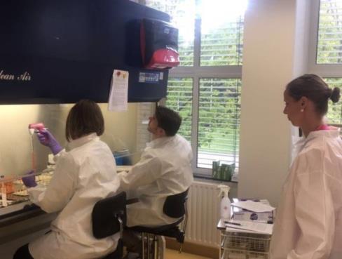 PERISCOPE workshop on the core B-cell and T-cell assays In order to train the laboratory personnel from the clinical sites, a 3-day workshop on the development and standardization of B.