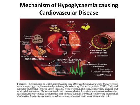 Summary of hypothetical relationship(s) between hyperglycaemia and adverse outcomes in patients with ACS and posited