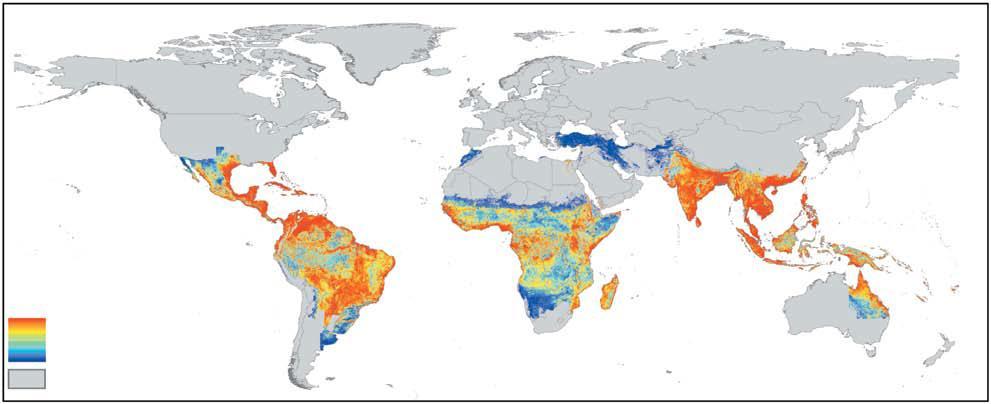Worldwide Threat of Dengue Highly endemic Low endemic Non-endemic Specific WHO Objective: