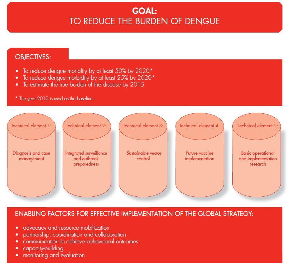 Global strategy for dengue